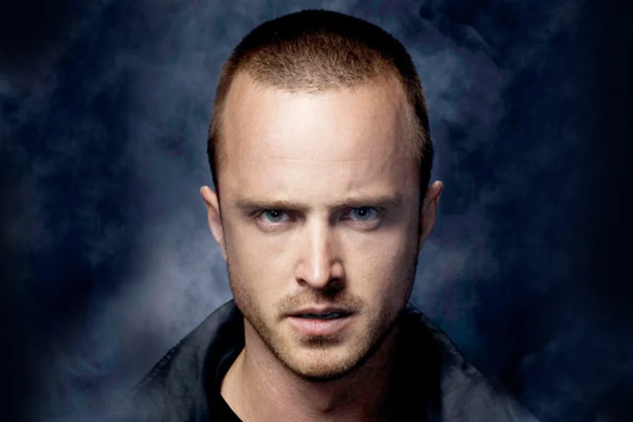 Aaron Paul Height